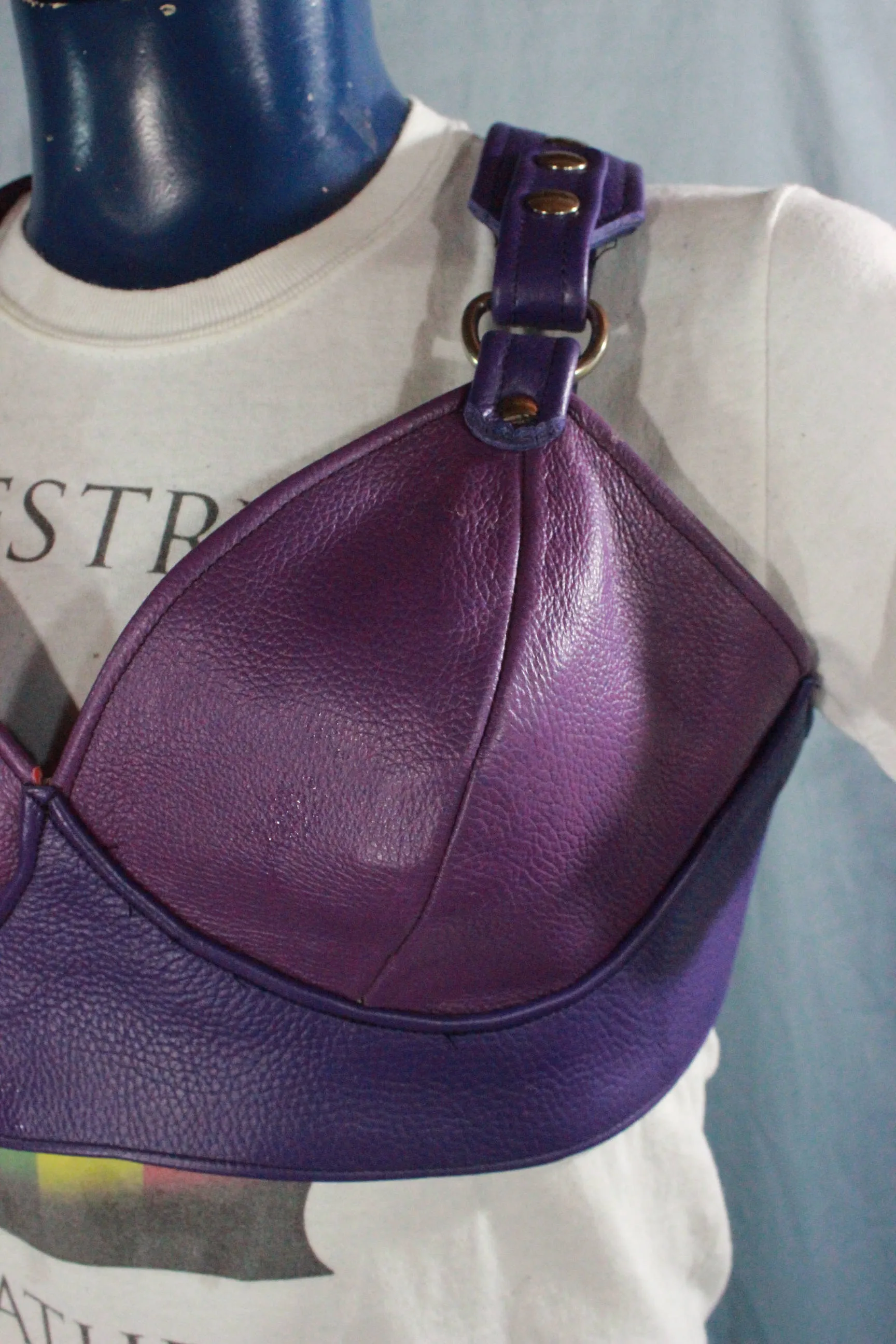 Anything BUT Basic! Our PURPLE PRINCESS edition of our leather Bra!