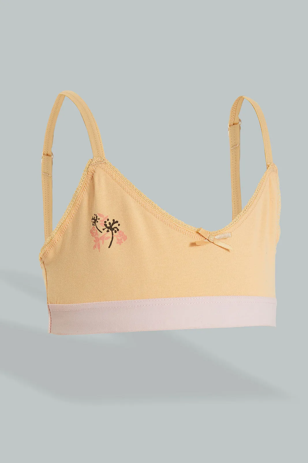 Assorted Seamless Bra (Pack of 2)